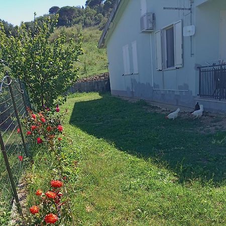 Villetta San Giovanni Calatafimi Εξωτερικό φωτογραφία
