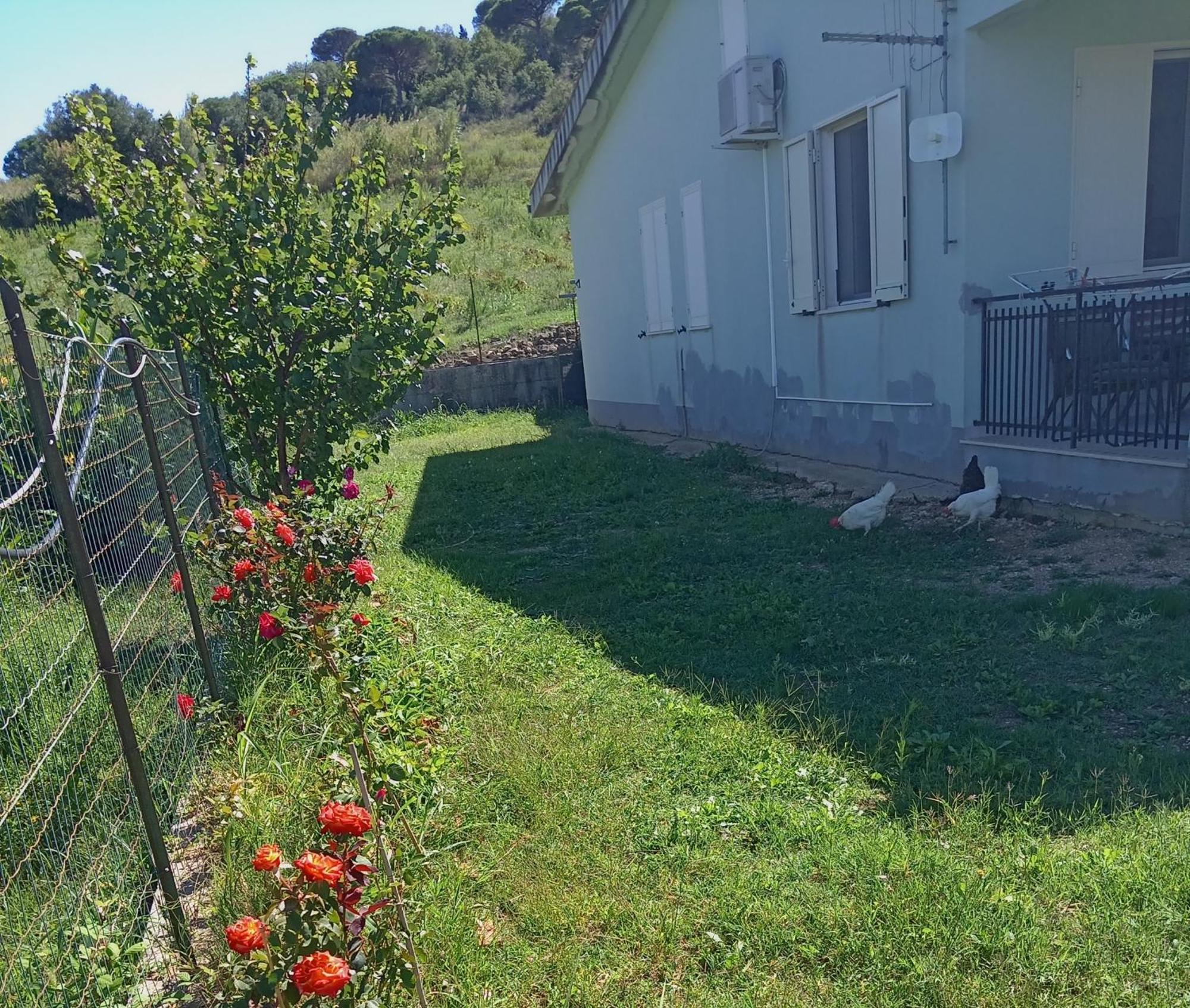 Villetta San Giovanni Calatafimi Εξωτερικό φωτογραφία